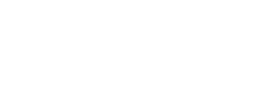 EMS Consulting